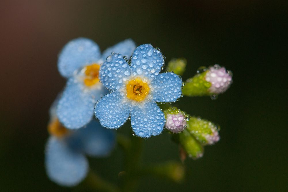 Photograph by Светлана Романищева