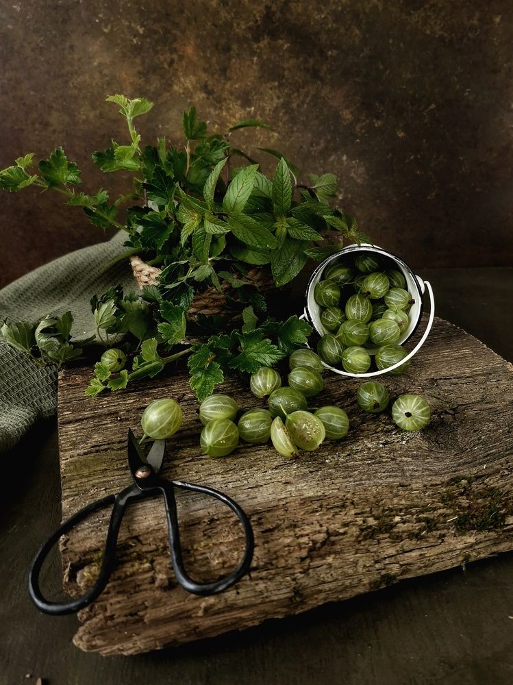 Photograph by Angelica Medvedeva