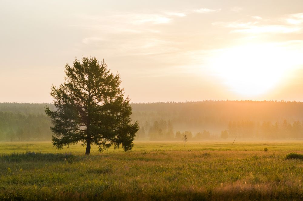Путь к Родине