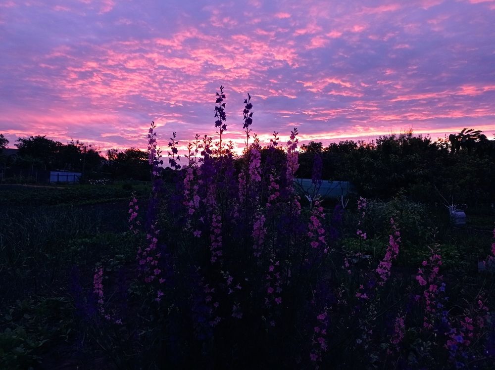 Photograph by Ирина Марченко