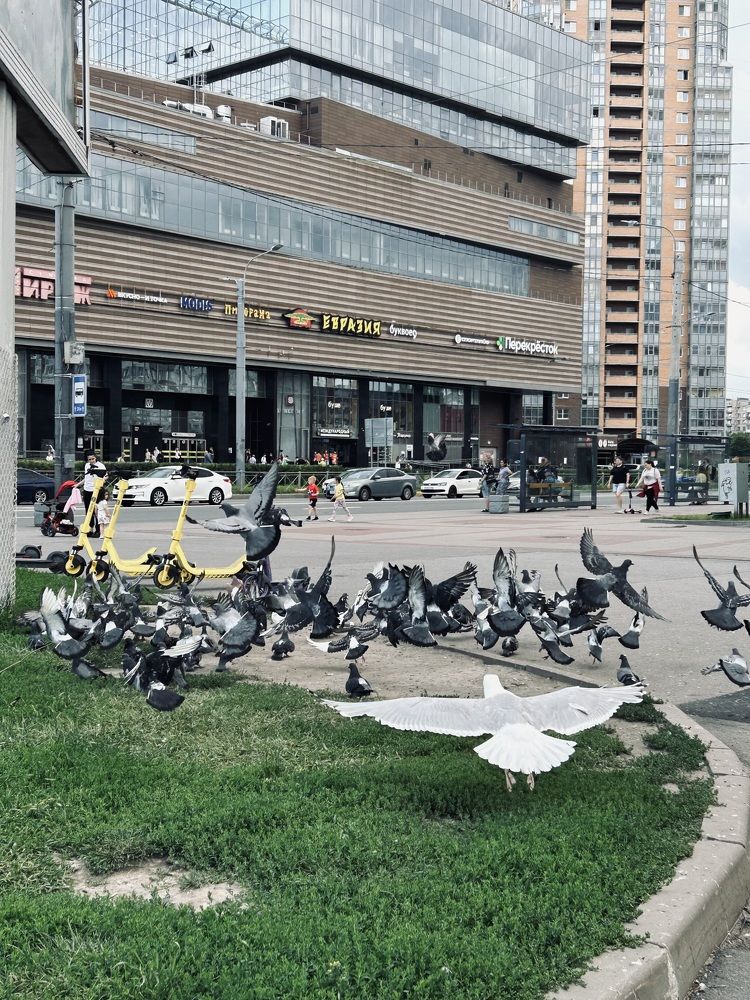 Photograph by Елена Маркова