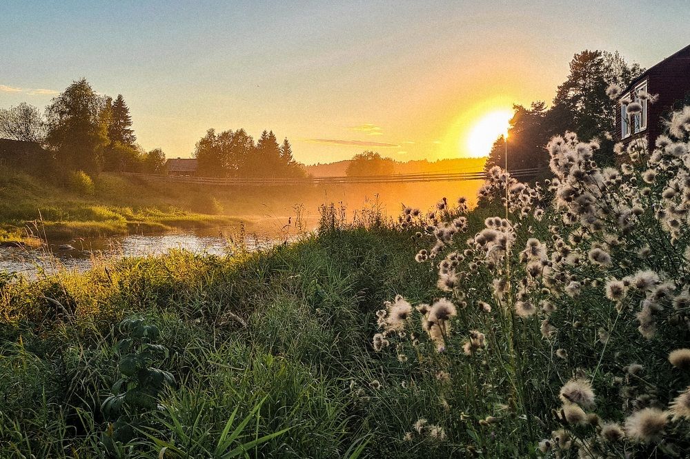 Photograph by Елена Квасова