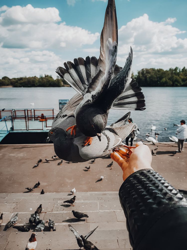 Photograph by Tatsiana Sialiuk