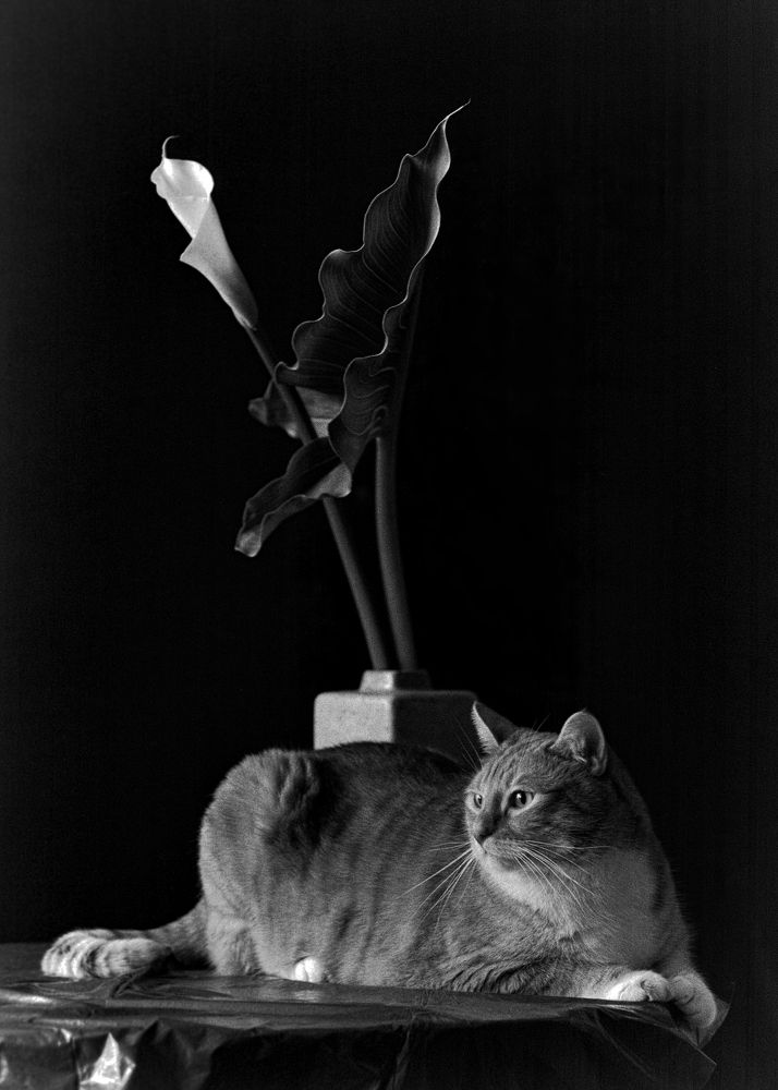 Фотография автора Eimar Kull