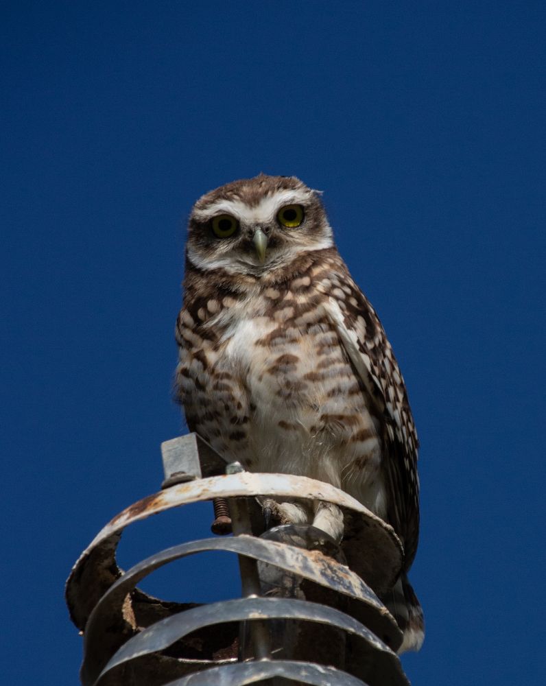 Photograph by Jorge Bagnuoli