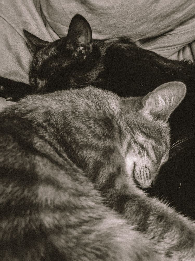 Photograph by Ирина Герлин