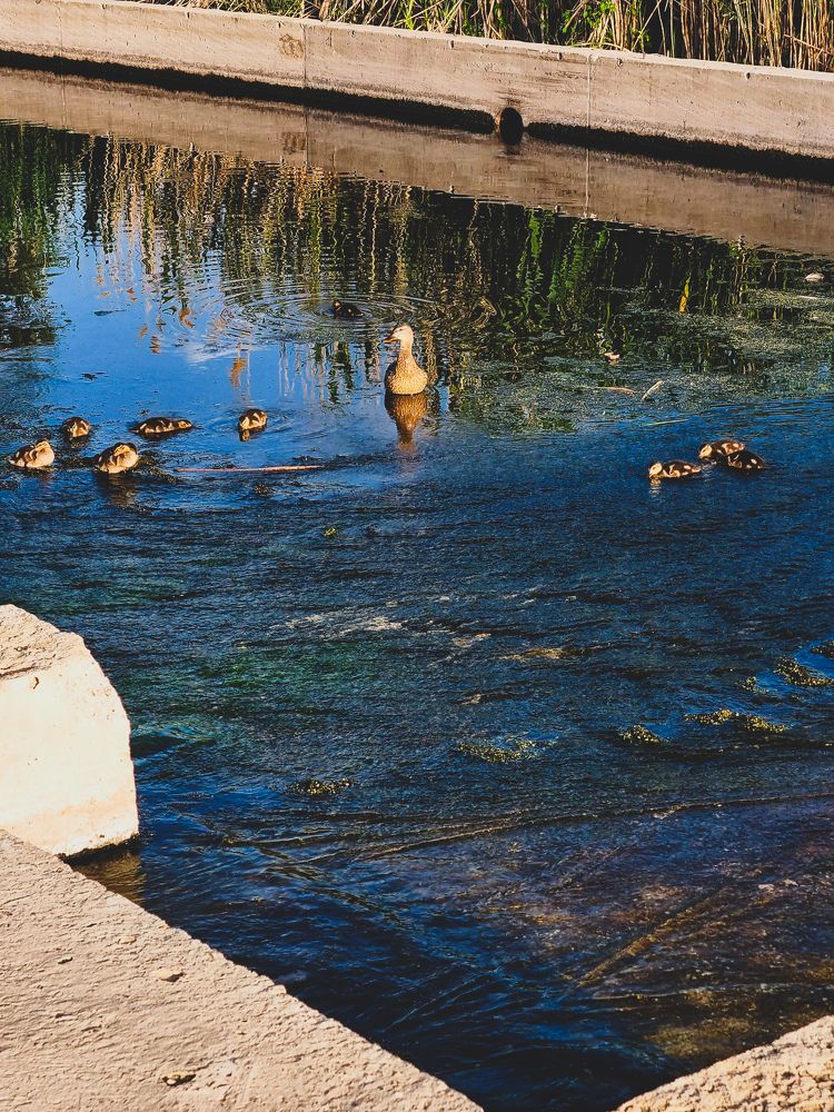 Photograph by Ирина Герлин