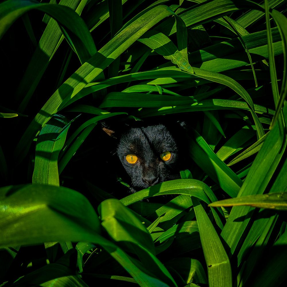 Photograph by Ирина Герлин