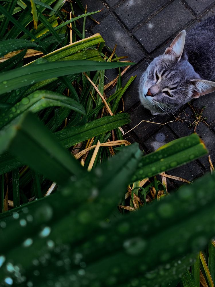 Photograph by Ирина Герлин