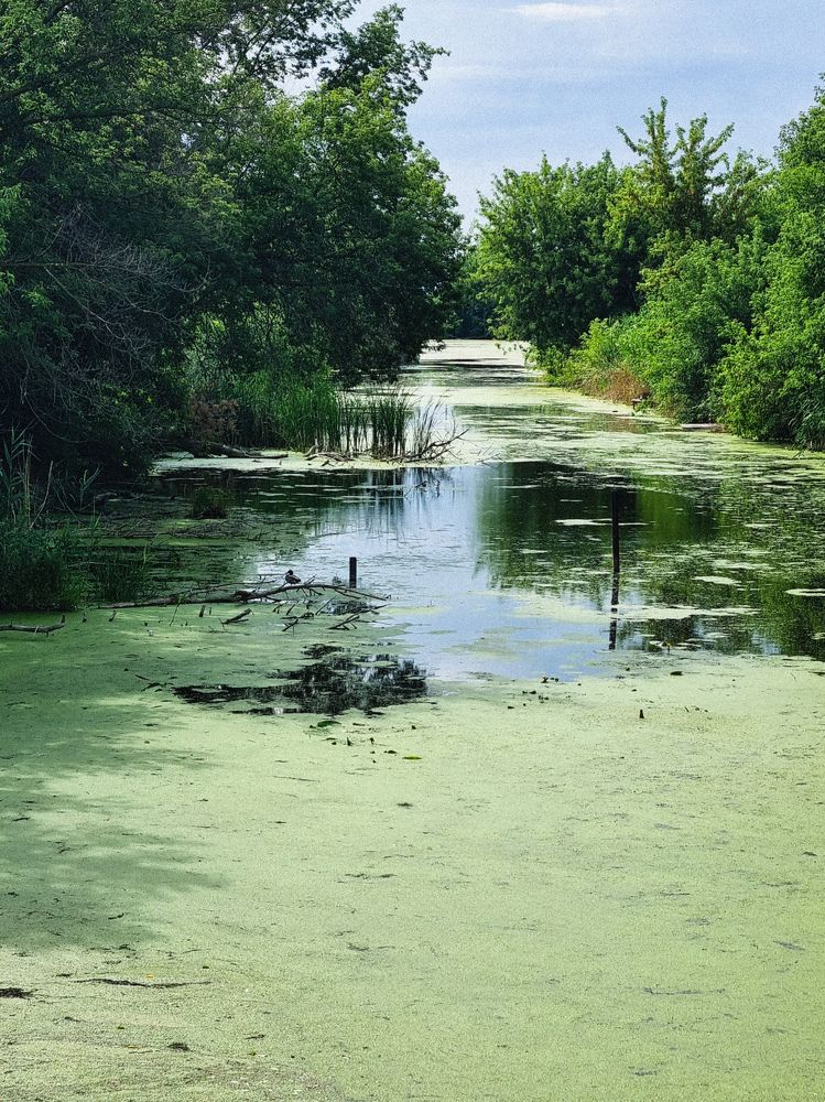 Photograph by Ирина Герлин