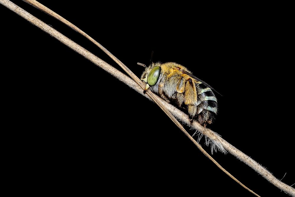 Photograph by Maryanto