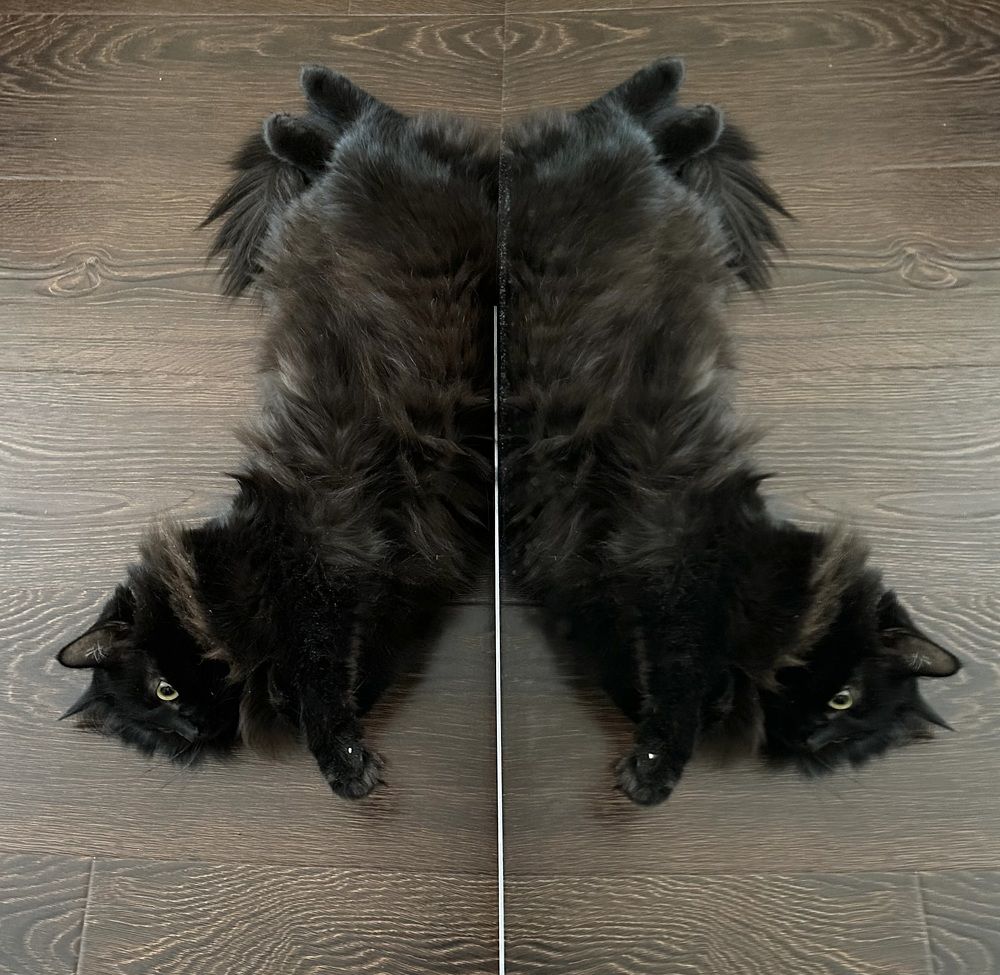 Photograph by Павел Каштанкин