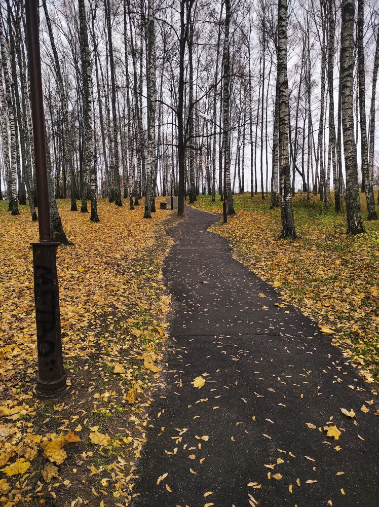 Photograph by Наталия Викторовна