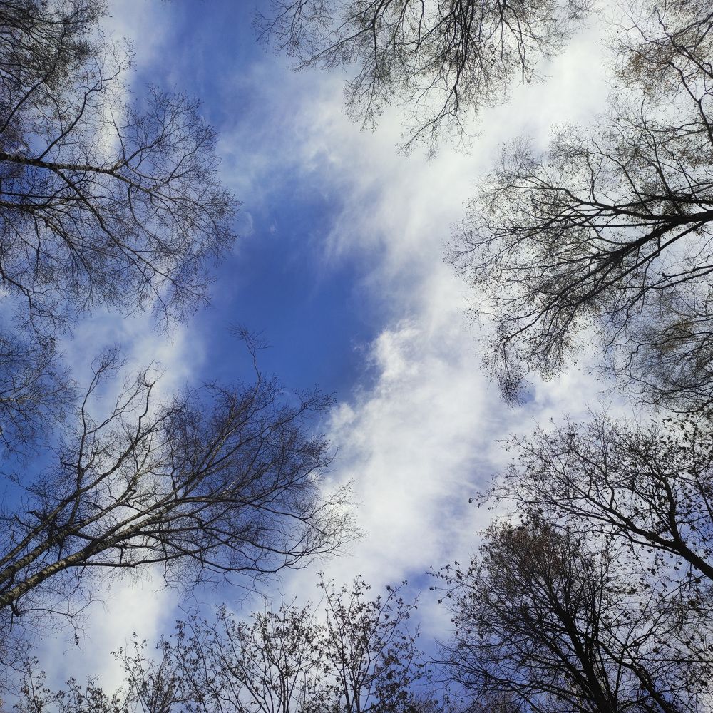 Photograph by Наталия Викторовна