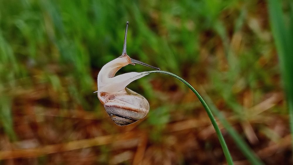 Photograph by Александр