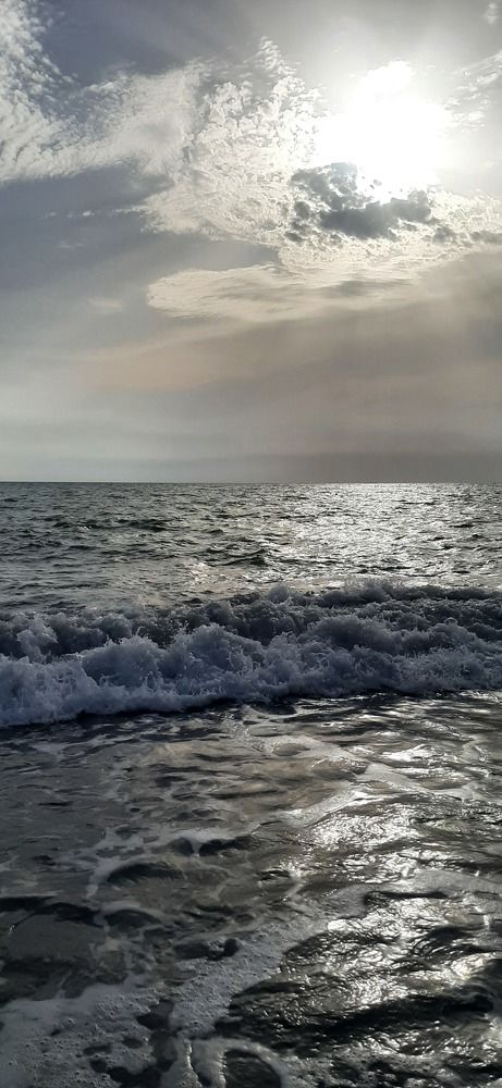 Фотография автора Анастасия