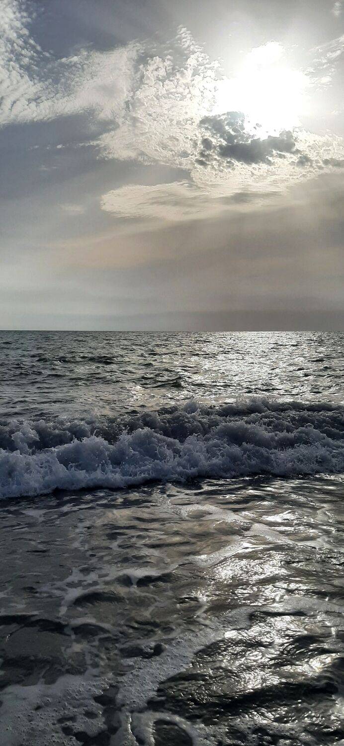 Фотография #10803544