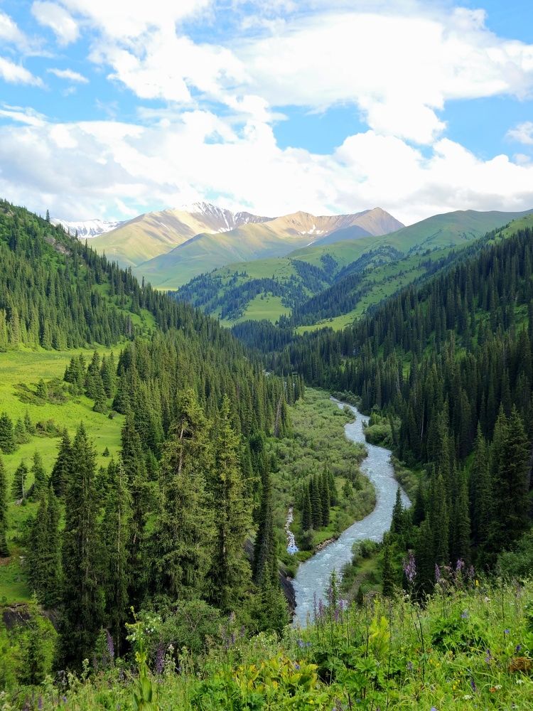 Photograph by Денис Андреевич