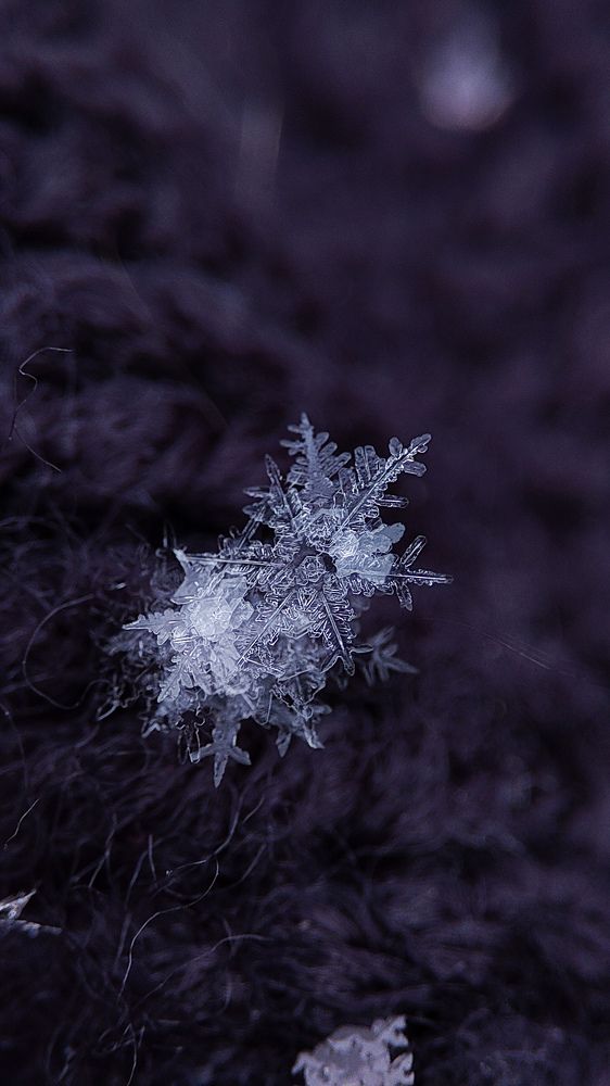 Photograph by Ehsan Fathi