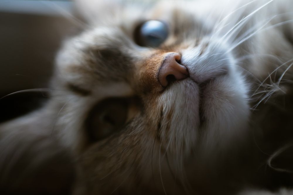 Photograph by Кожевников Андрей