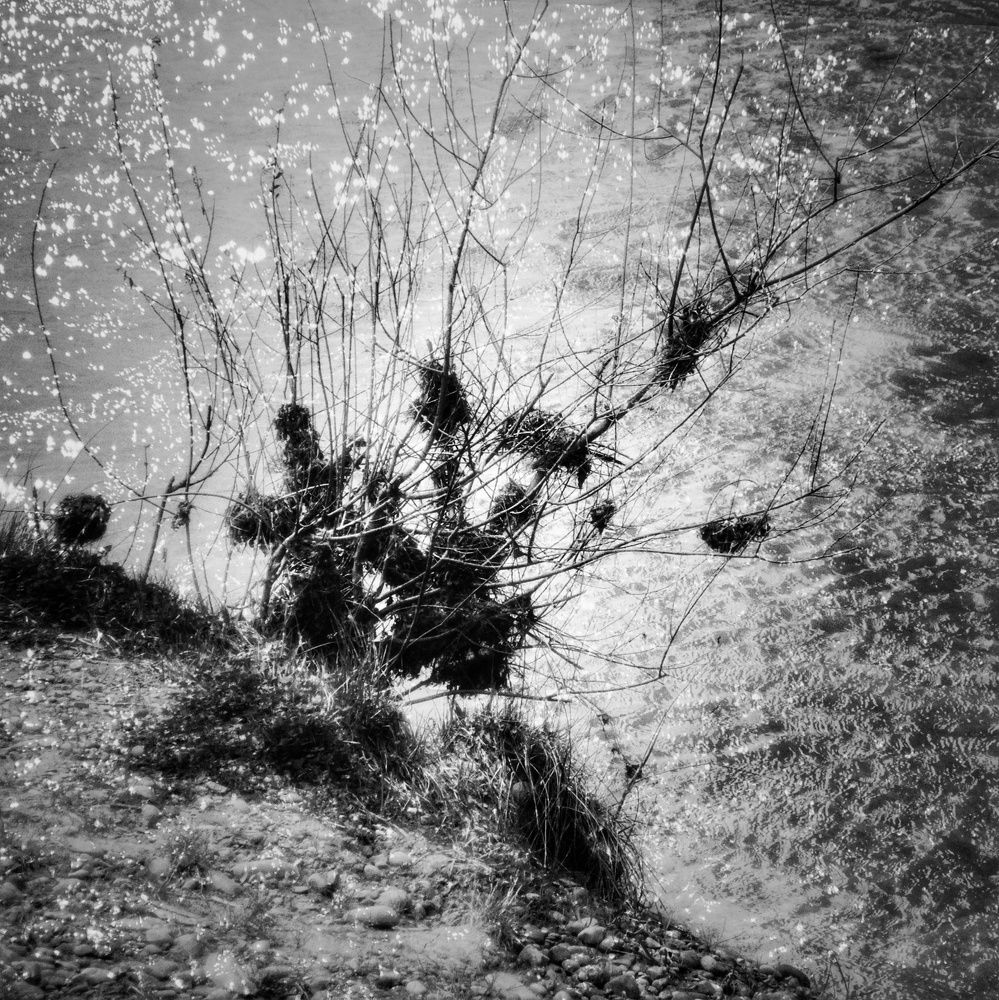 Photograph by Анна Берневик