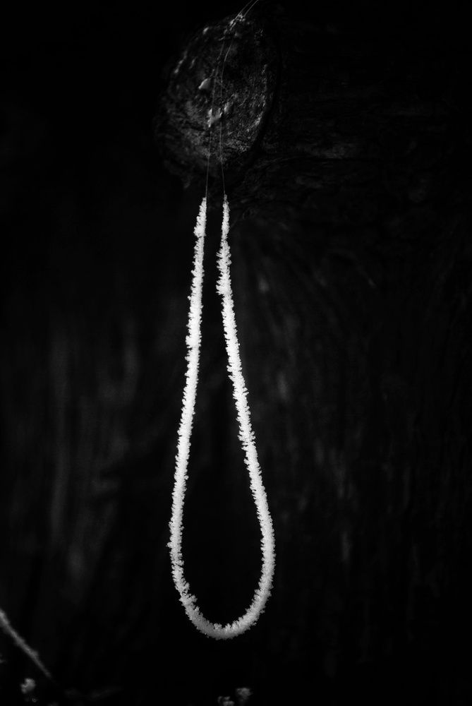 Photograph by Анна Берневик