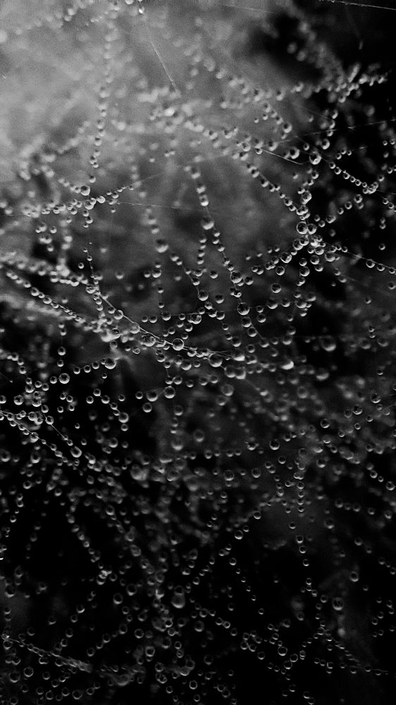 Photograph by Ehsan Fathi