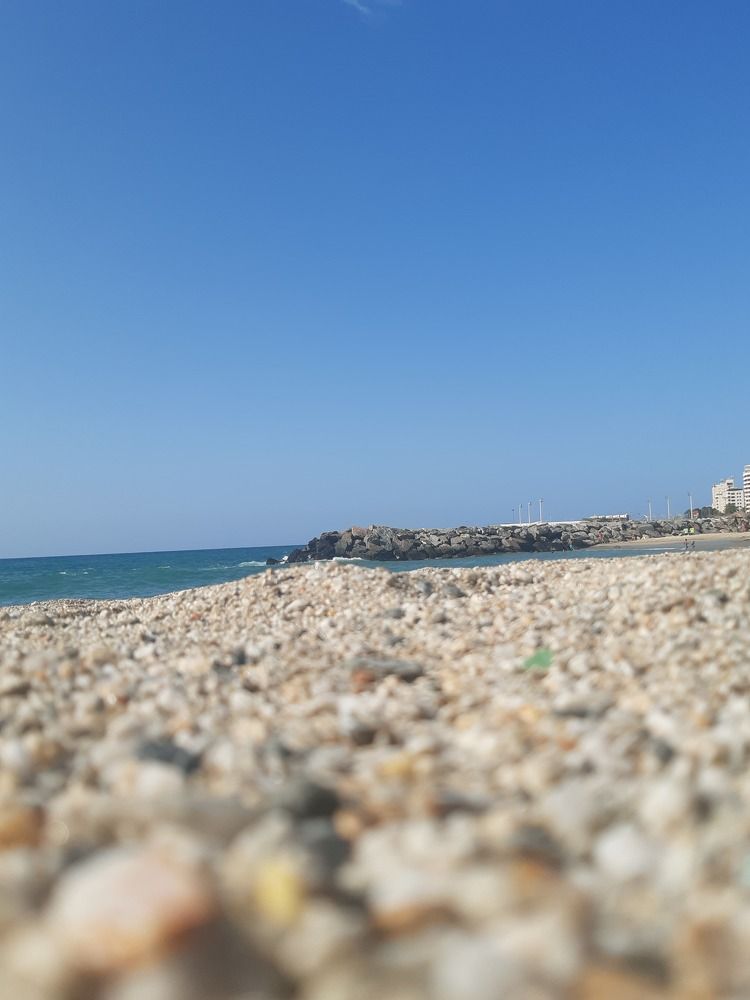 Cangrejo