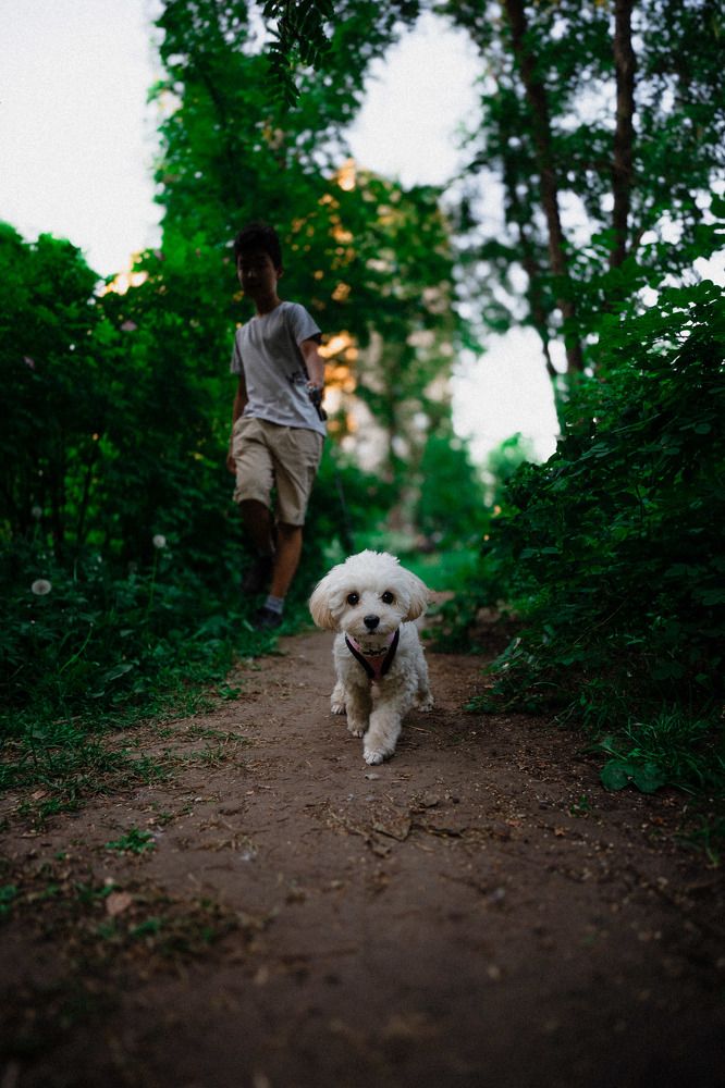 Photograph by TAGA Абдуллаев