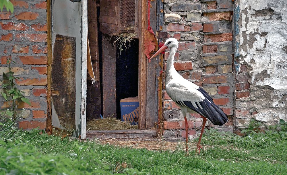 Осмотр брошенных строений