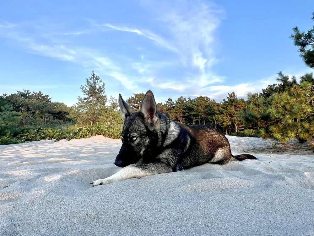 Photograph by Олеся Королева