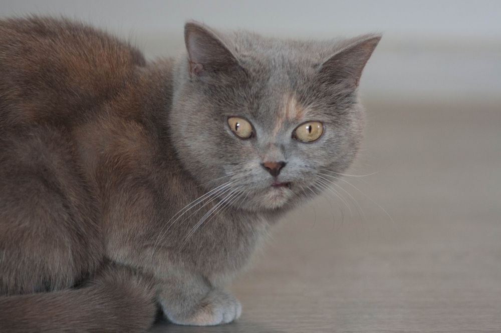 Photograph by Анна Абрамова