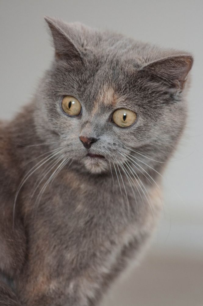 Photograph by Анна Абрамова