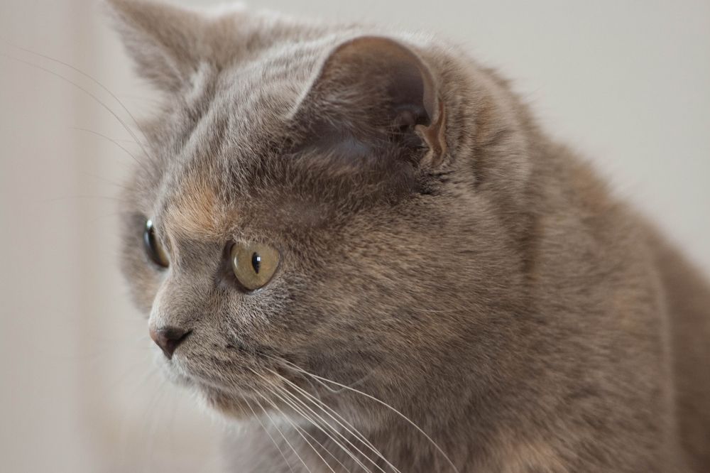 Photograph by Анна Абрамова