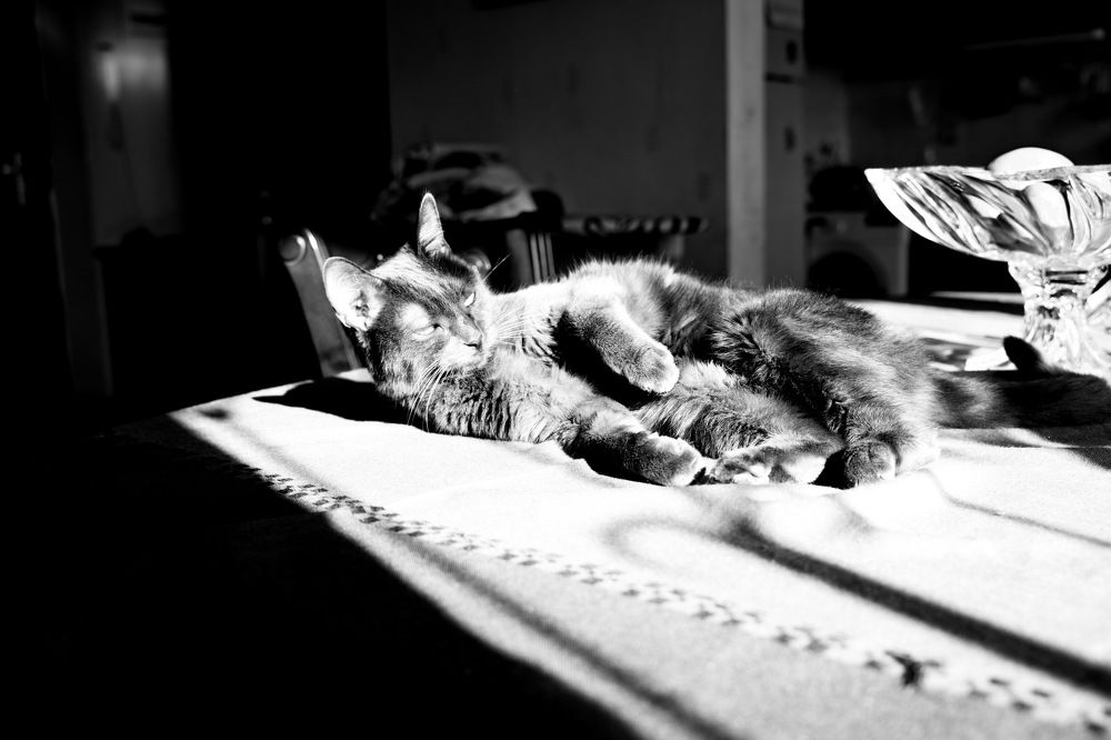 Photograph by Армен Арутюнов