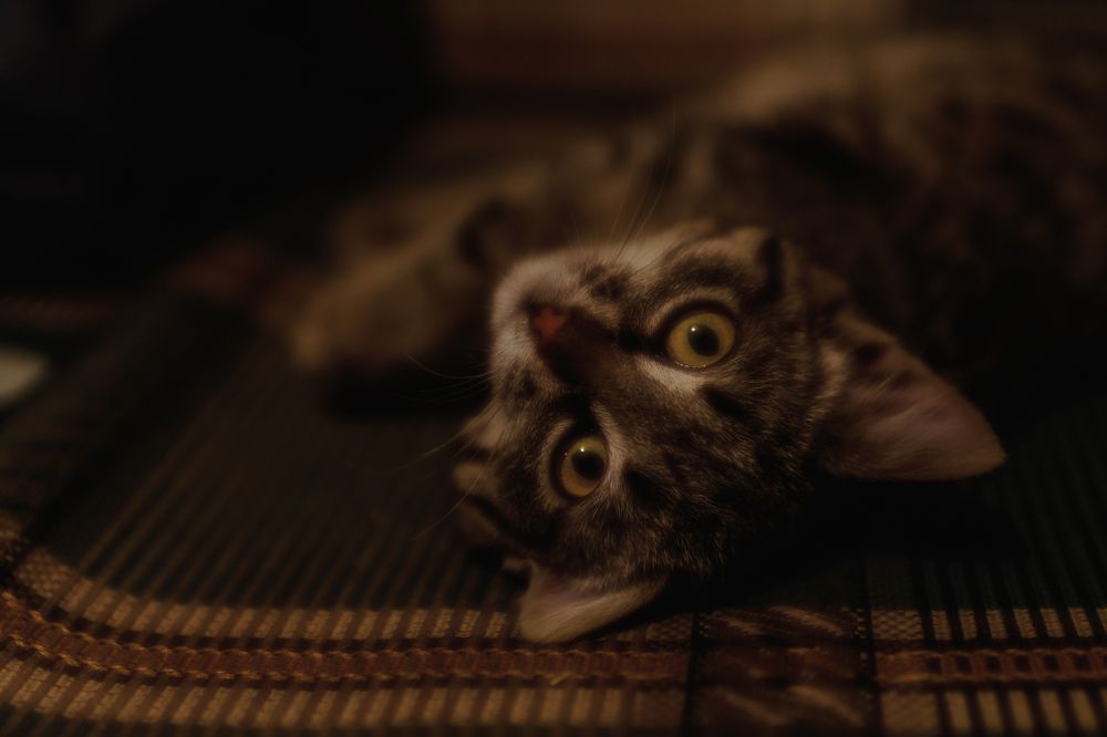 Photograph by Таипов Ильгиз