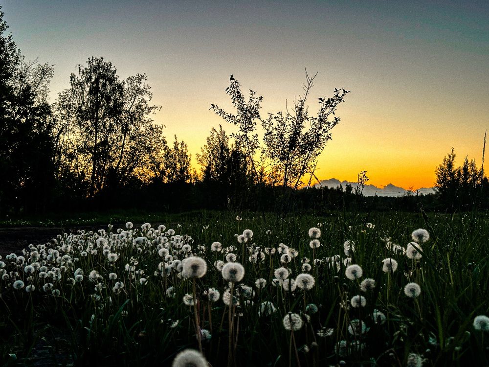 Photograph by Анастасия Конина