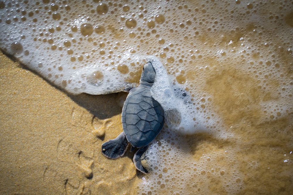 Photograph by Vo Rin