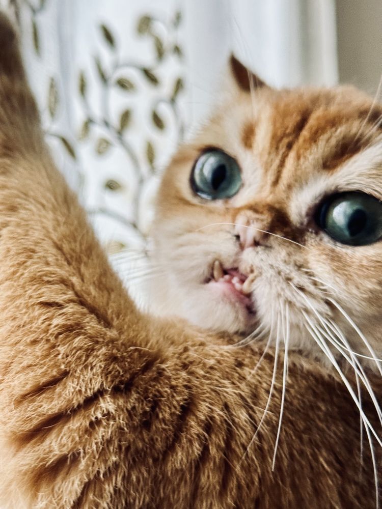 Photograph by Елена