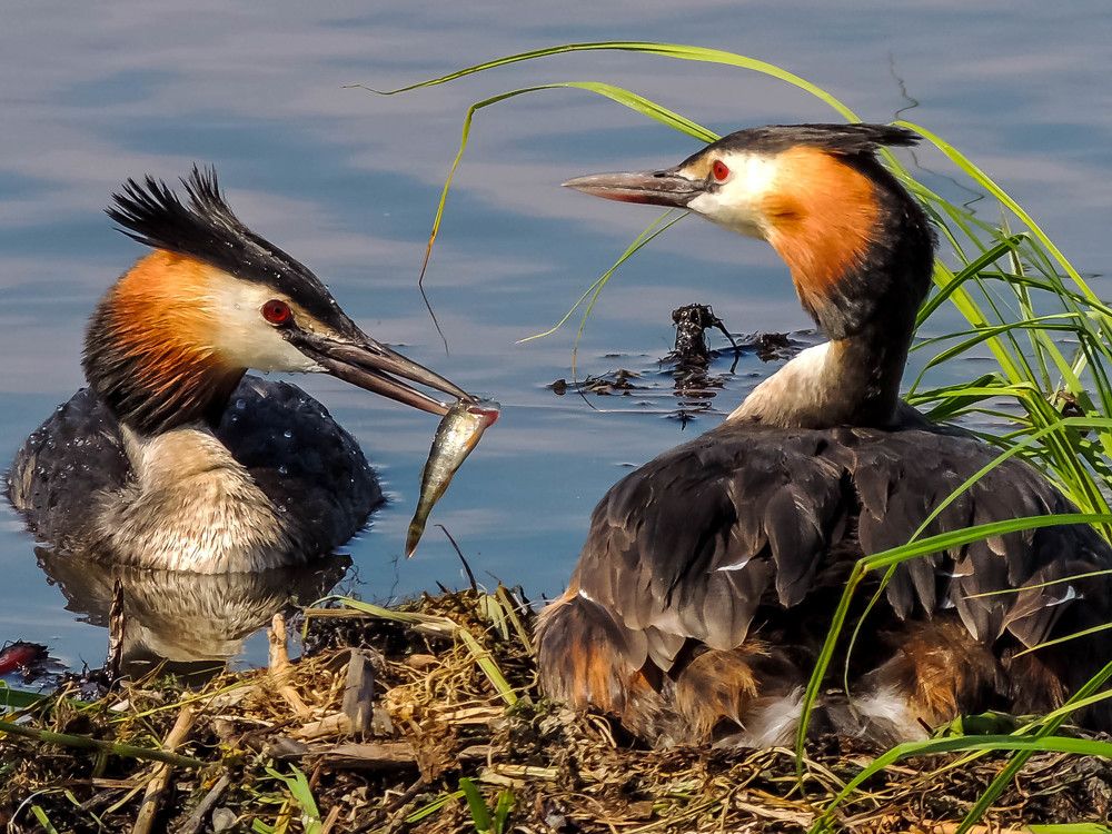 Photograph by Епишев Андрей