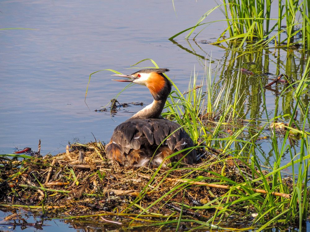Photograph by Епишев Андрей