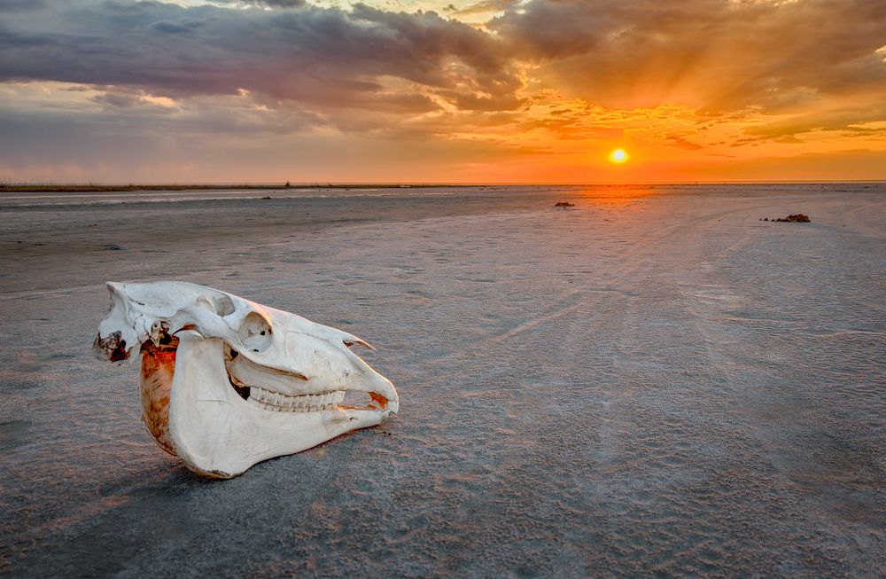 Photograph by Наталия Полякова