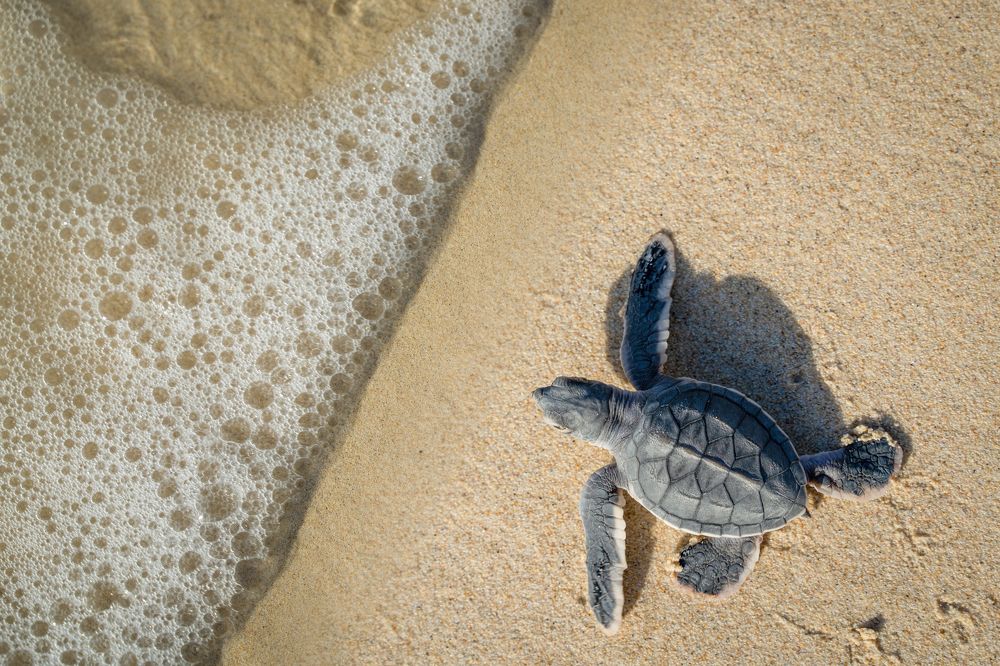 Photograph by Vo Rin