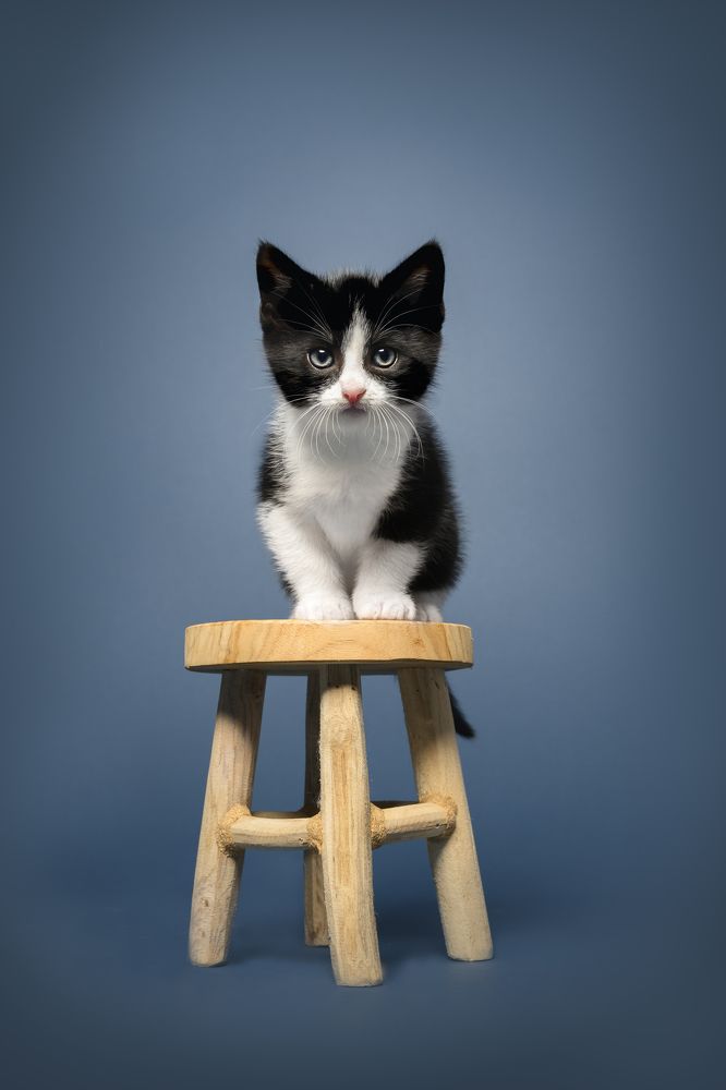 Photograph by Els Decoodt