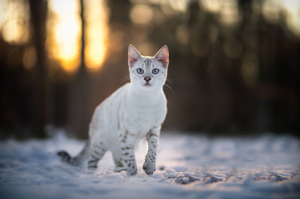 Photograph by Els Decoodt