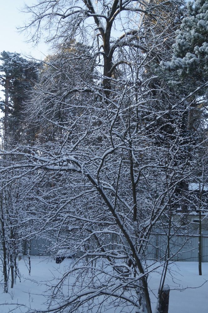 Photograph by Георгий Галкин