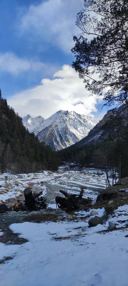 Photograph by Елена Семенова