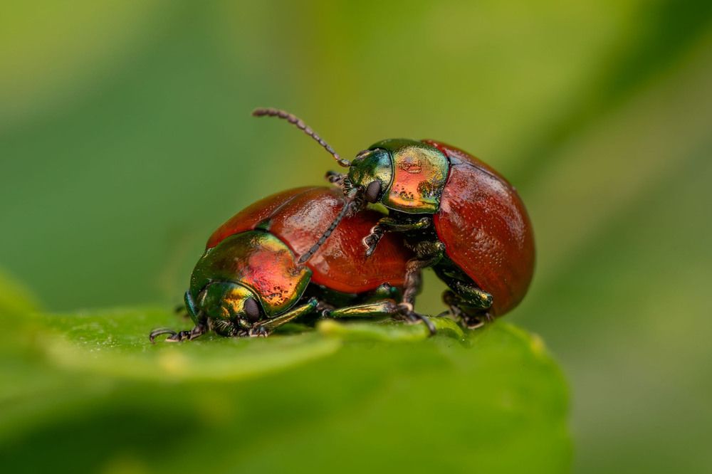 Фотография автора Виталий Сурков