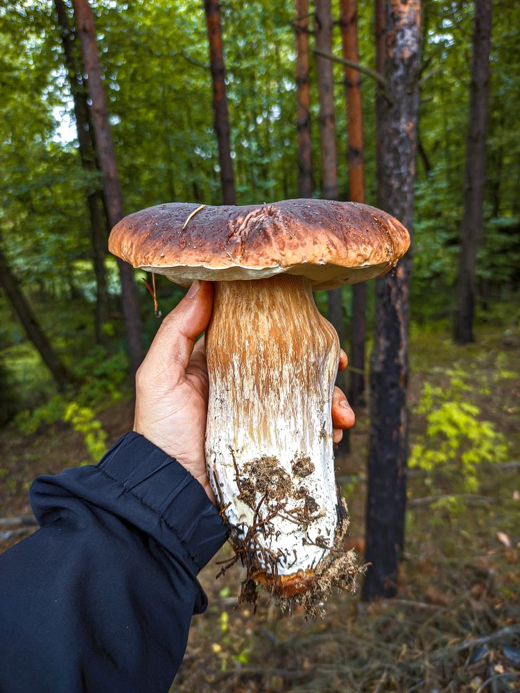 Фотография автора Александр Хухлов