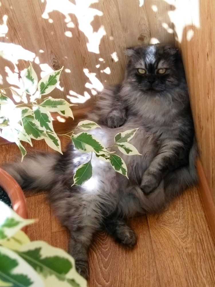 Photograph by Олеся Мартынова